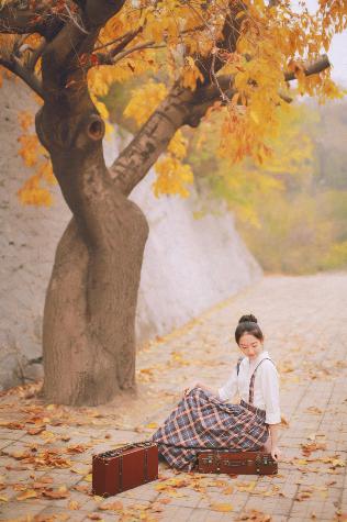 《女教师电影》究竟讲了啥？5大看点揭秘！